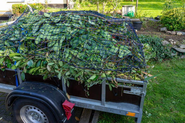 Best Shed Removal  in Arthurtown, SC